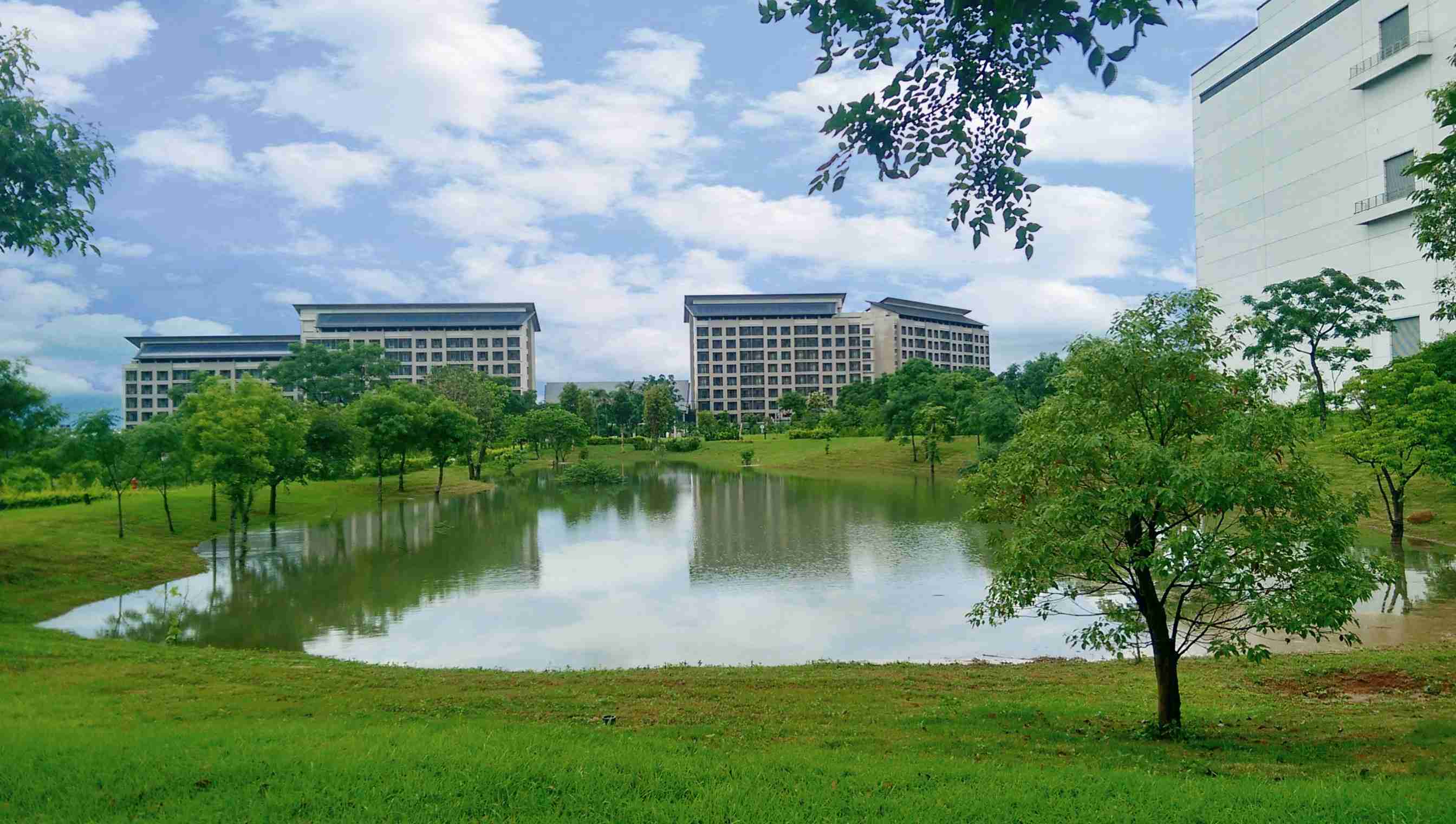 巨星国际响应国际倡议生物多样性趋势，，，，首次发布TNFD自然相关财务揭露报告书，，擘划及开展巨星国际生物多样性政策之承诺，，，逐步迈向与自然和谐共生